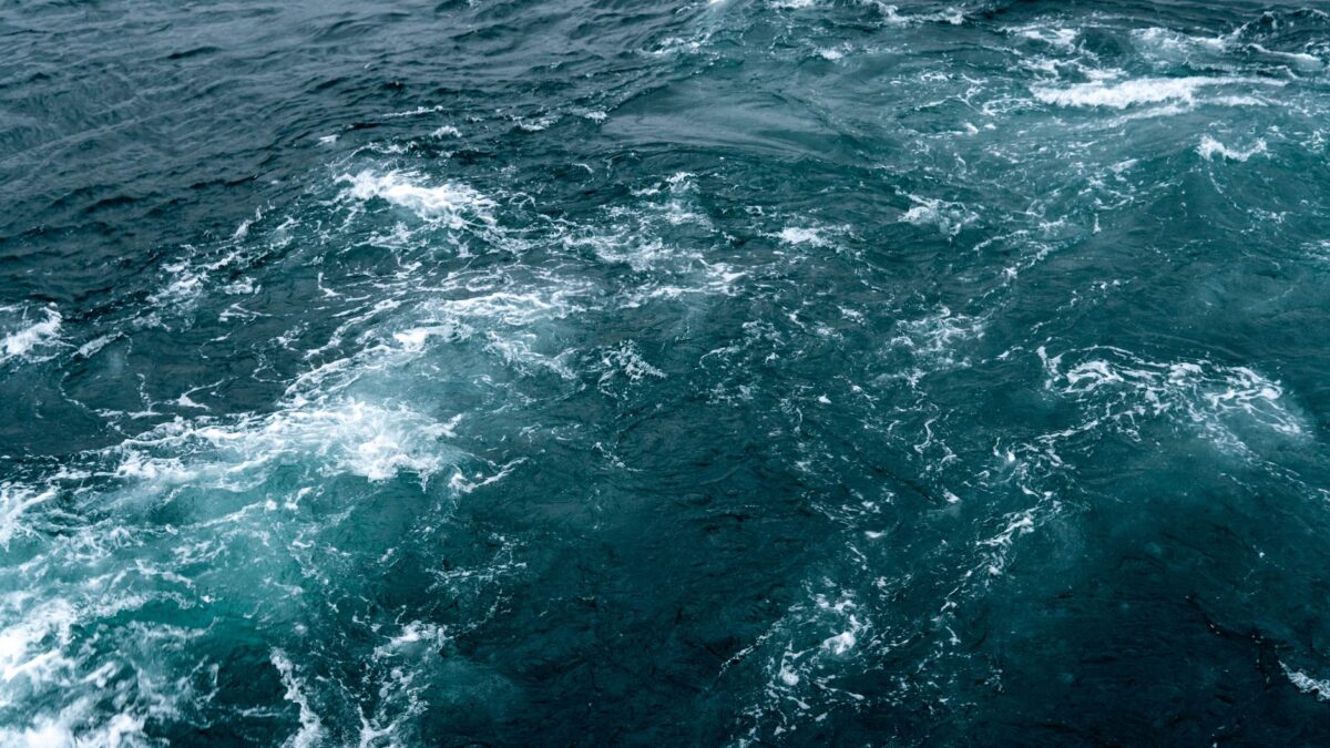 rogue waves deckbuilder démo structure elle