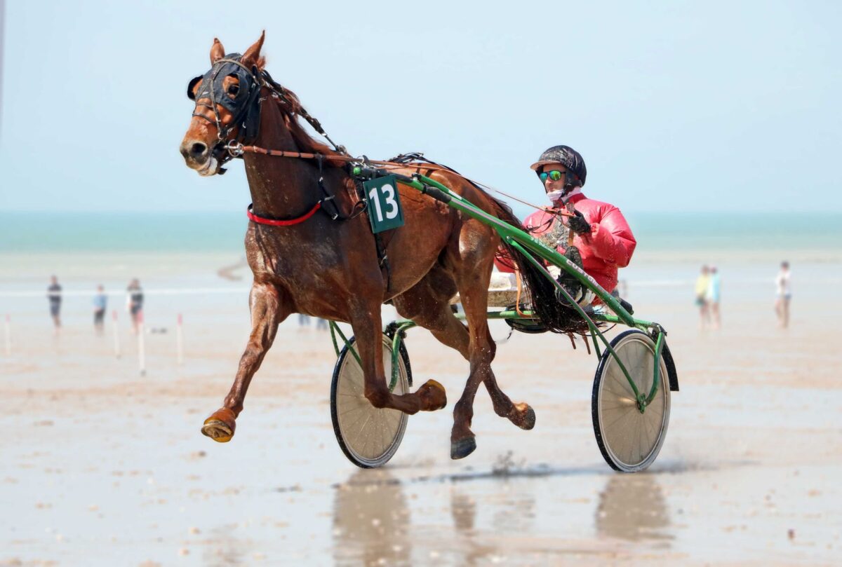 horses hoofprint bay cas usage profil