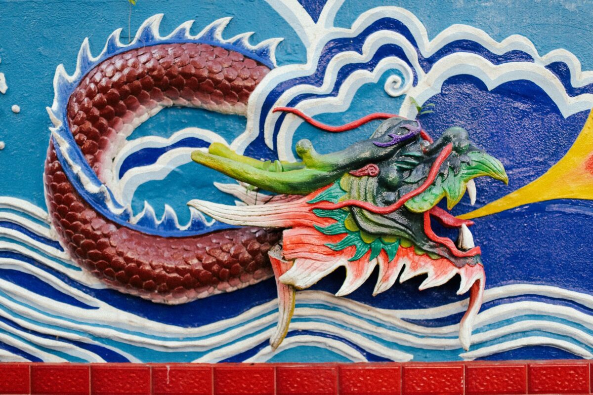 dragon shelter dragons évaluer si