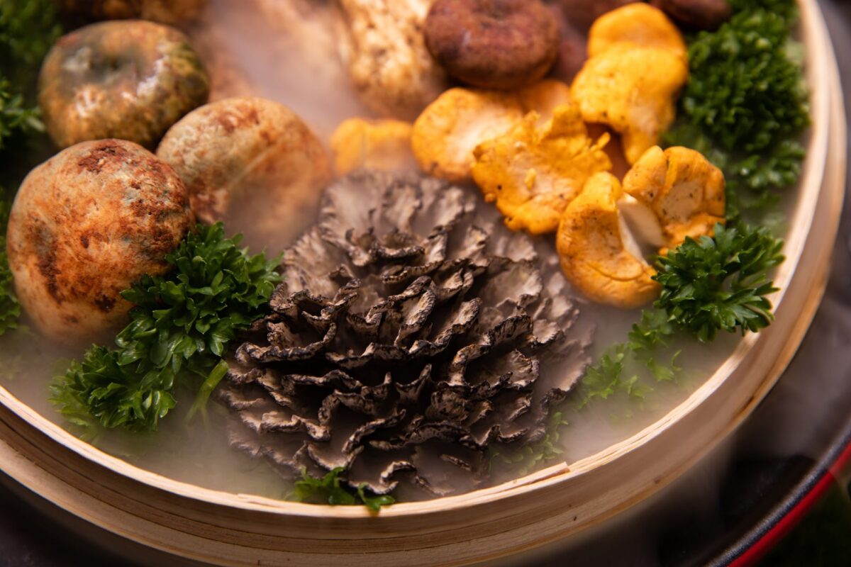 dragon shelter dragons cuisine alchimie exploration